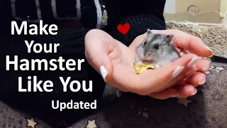 How to Tame Your Hamster and Make Them Like You | UPDATED