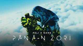 Feli x NANE - Pana-n zori | Official Visualizer