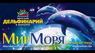Шоу дельфинов, морских котиков и львов "Мир моря" в Минске