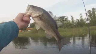 Springtime Frog Fishing For Bass