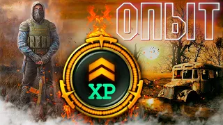 Советы по Быстрому Фарму ОПЫТА ► Day R Survival