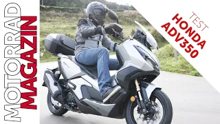 Honda ADV350 Test 2022 - Besser als Forza? Wie komfortabel und sportlich ist der Adventure-Roller?