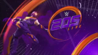 WWE 205 Live January 15th 2019 Review