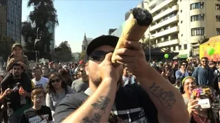 Festiva y masiva marcha pide regulación de marihuana en Chile