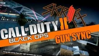 Black ops 2 - Skrillex Gun Sync | I'm try it out