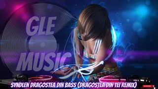 SynDlen Dragostea din Bass (Dragostea din tei remix)