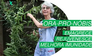 Ora-pro-nóbis - Emagrece, Rejuvenesce, Melhora Imunidade