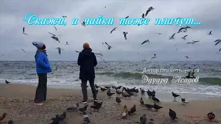 Скажи, а чайки тоже плачут   Прекрасное стихотворение Эдуарда Асадова Tell me seagulls cry too