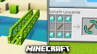 Sprawdzam TAJEMNICE MINECRAFT z TIKTOKA! *niemożliwe*