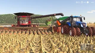 DIA DE SAFRA BRUTA NO MP | Farming Simulator 2019 | OS COLONOS #45