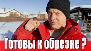 Про обрезку сада, пока только мысли, так как пробраться к деревьям проблематично