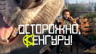 Осторожно, Кенгуру! / Kangaroo Chronicles (2020) / Комедия