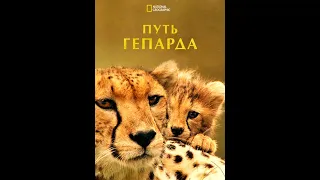 Путь гепарда / The Way of the Cheetah