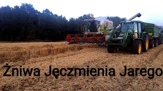 Żniwa Jęczmienia Jarego / Claas dominator 108 sl/John Deere 6130M/ John Deere 6210 w akcji