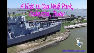 A Visit to Seawolf Park!