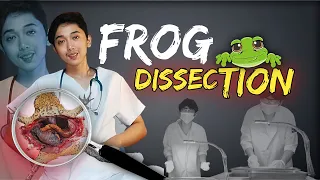 Frog Dissection | Anatomy and Physiology