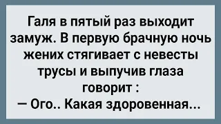 У Невесты Здоровенная! Сборник Свежих Анекдотов! Юмор!