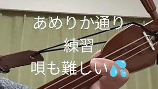 あめりか通り　練習中💦　三線練習🪕