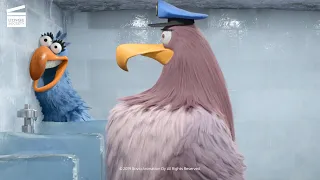 Angry Birds - Copains comme cochons : Braquage aux toilettes (CLIP HD)