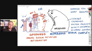 Autoimmune disease caused by spike protein and potential management approaches