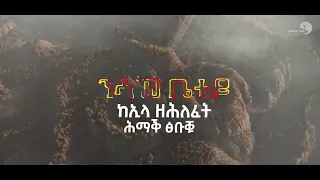 Shewit Mezgebo  Semere Mezgebo  Bietey ቤተይ  New Tigrigna Music 2021 Official Video v720