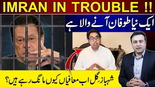 IMRAN IN BIG TROUBLE | Why Shahbaz Gill is apologizing now? | Mansoor Ali Khan