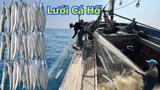 Trải nghiệm lưới cá hố tàu a Lực xuân hoà - Dân Biển