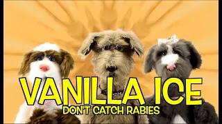 VANILLA ICE - ICE ICE BABY (DON'T CATCH RABIES)