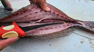 ENCONTRAMOS GUSANOS En El Pescado Que Hacer Cuando Esto Pasa!