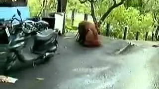 [TweenieZELL] Untamed&Uncut-Orangutan Terrorizes Zoo