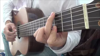 Sweet Child O Mine (Fingerstyle) (GNR) - Eduardo Arantes