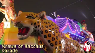 Krewe of Bacchus parade