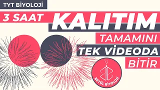 Kalıtım Tekrar | TAMAMI TEK VİDEO | TYT Biyoloji Konu Anlatımı