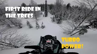 2024 Ski-Doo Freeride 146" TurboR