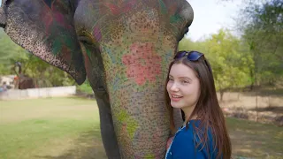 I took care of an elephant in Jaipur