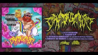 CRYPTORCHIDISM - SELF-TITLED [OFFICIAL EP STREAM] (2018) SW EXCLUSIVE