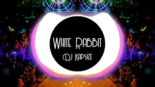 White Rabbit - Jefferson Airplane (PSY-TRANCE REMIX by DJ Kapsize)