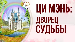 ЦИ МЭНЬ ДУНЬ ЦЗЯ:  Как прочитать Дворец Судьбы в раскладе Ци Мэнь