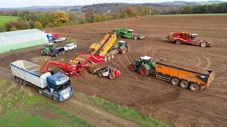 Big Potato Harvest in Belgium | Fendt 1050 & 1042 - AVR Puma - Grimme Varitron - Cleanloader