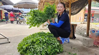 Harvesting green vegetables goes to the market sell - Farm life | Ly Thi Tam