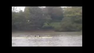 2014 Vets Fours Head   Boat 38   PTRC   Mas E4x- w/