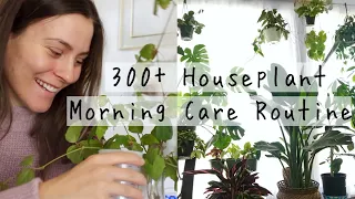 My 300 Houseplant Morning Care Routine! | My Morning Indoor Plant Care Routine!