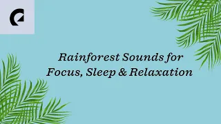 30 Min Rainforest Sounds for Focus, Sleep & Relaxation