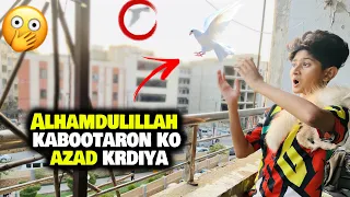 Alhamdulillah Kabootar Azad Krdiye!😍| Pigeons Vlog!🕊️| Vampire YT