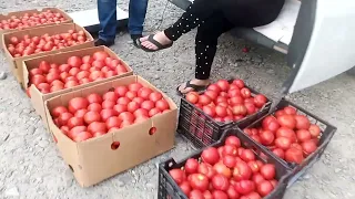 Ціни на овочі і фрукти оптом сьогодні. Виноградів Закарпатська область.