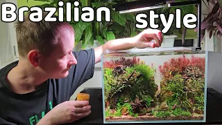 Nano aquascape  BRAZILIAN STYLE, aquarium setup (P1 the aquascaping and evolution)