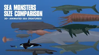 LARGEST SEA CREATURES | ANIMATED Size Comparison (Sea Monsters)