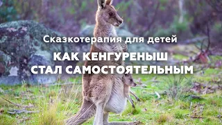 Как Кенгуреныш стал самостоятельным / Сказкотерапия для детей