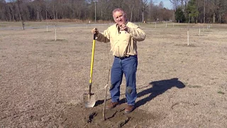 Planting Pecan Trees