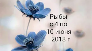 Рыбы Таро-гороскоп с 4 по 10 июня 2018 г